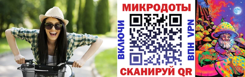 Псилоцибиновые грибы Psilocybine cubensis  Горно-Алтайск 